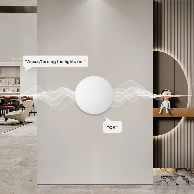 ZigBee Smart Wireless Button S - Diy Electronics Button recension och pris