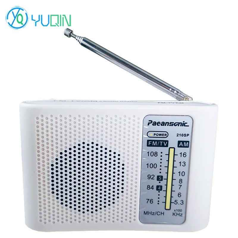 210SP AM/FM Radio Kit DIY Elec - Diy Electronics Projects For Adults recension och pris